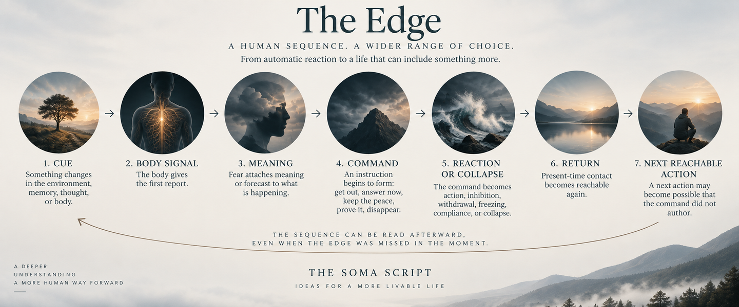 Seven-part Edge reflection map, from cue to next reachable action. The seven questions and an explanation follow in text.